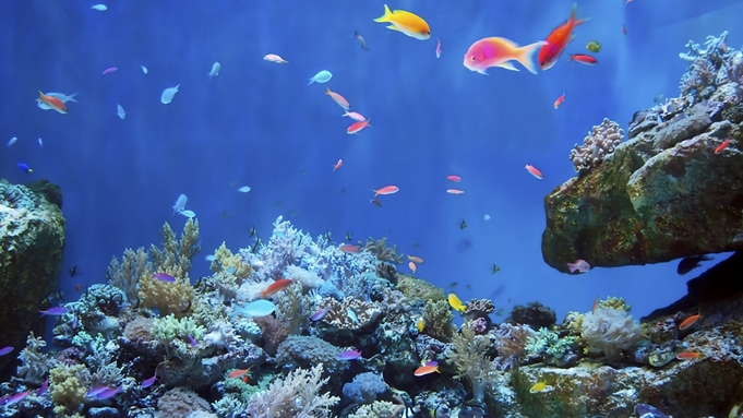 【観光・レジャー】仙台うみの杜水族館◇入館券引換チケット付プラン（朝食つき）